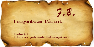 Feigenbaum Bálint névjegykártya